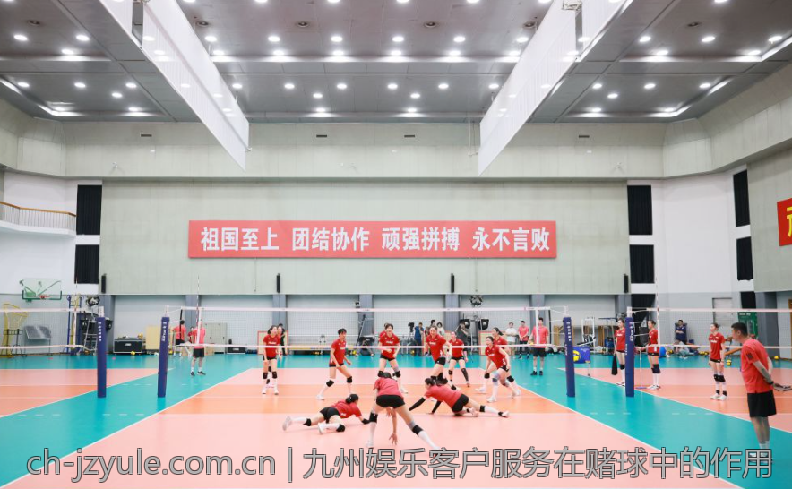 九州娱乐app官网的多平台兼容性测试